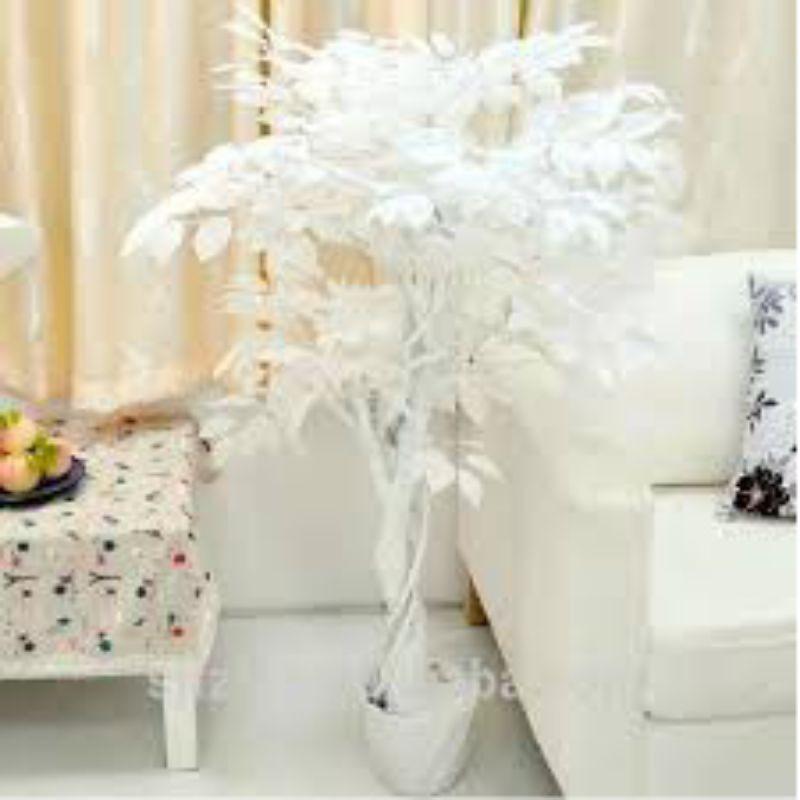 Combo 10 Cành lá si trắng làm cây giả - Lá giả