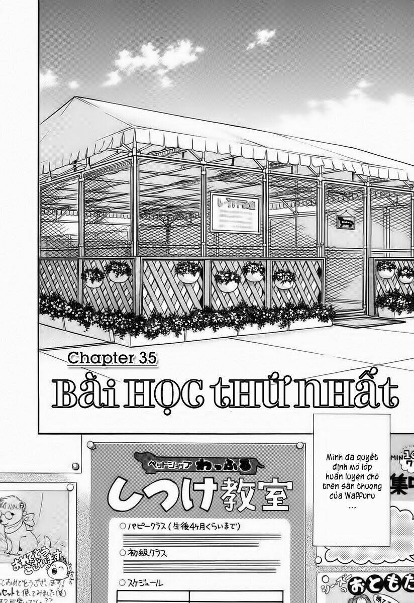 cô nàng yêu chó chapter 35 2