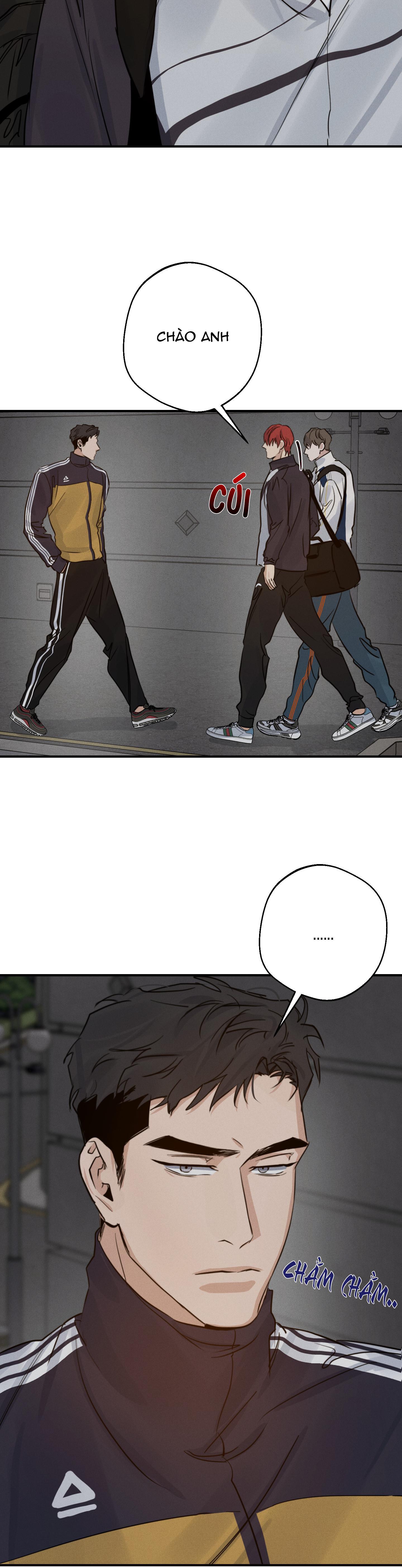 high clear chapter 23 4