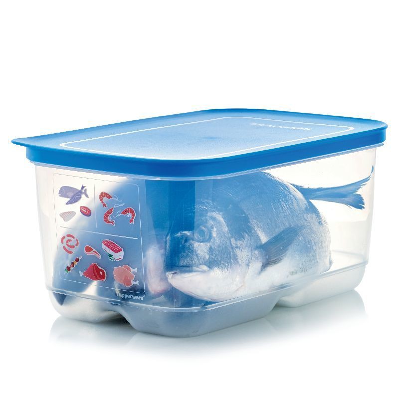 Bộ Trữ Đông Mát Dẻo Tupperware Cool Mate Set 2