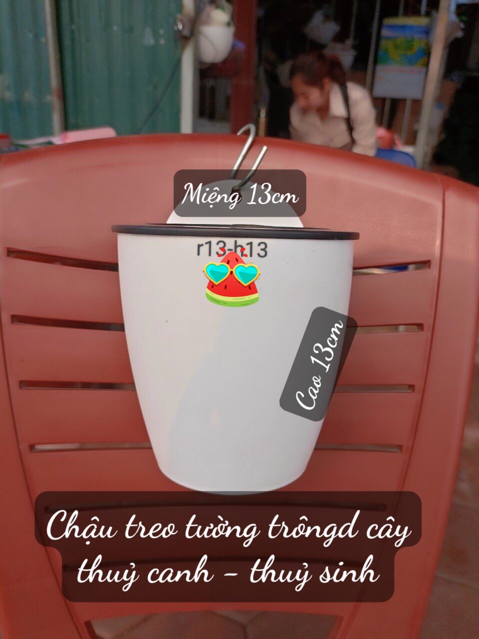 Chậu Treo Tường Trồng Cây Thuỷ Sinh - Thuỷ Canh rộng 13x cao13cm