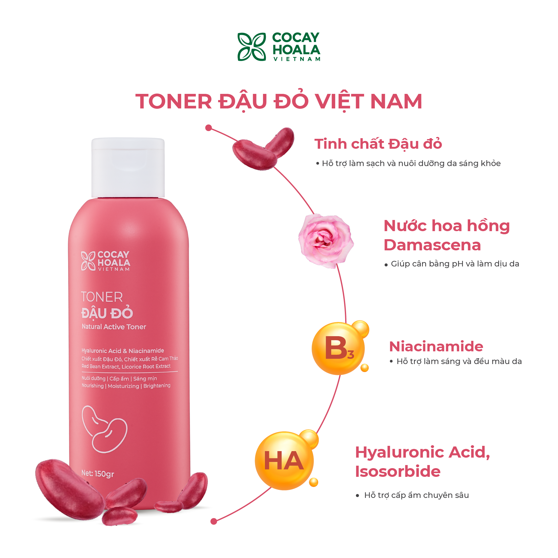 Toner Đậu đỏ Cỏ Cây Hoa Lá 150gr Giúp Dưỡng Ẩm, Mềm Mại, Cân Bằng pH