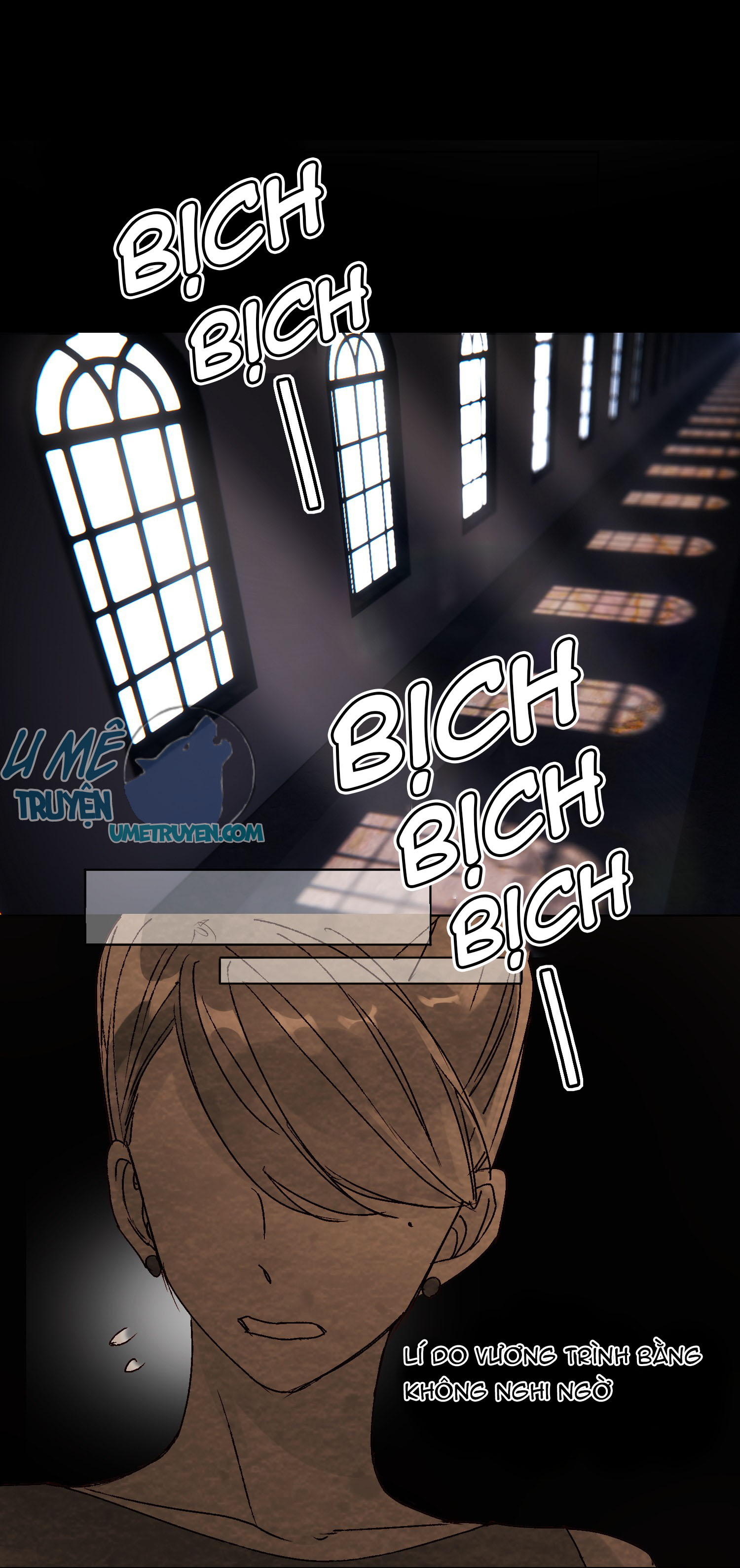 tôi phải làm một kẻ đại xấu xa chapter 12 19