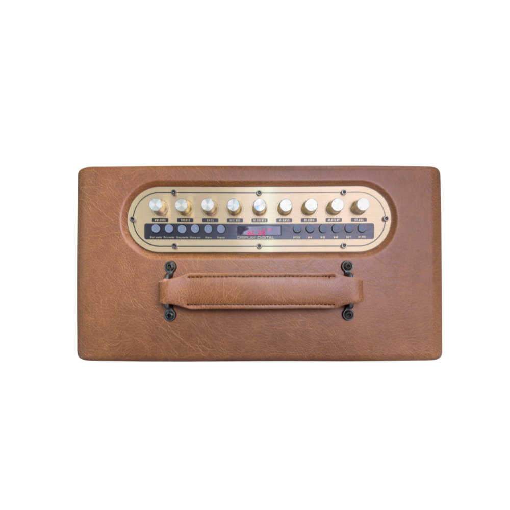 Bộ Loa Karaoke xách tay iCore P8 kèm 02 micro - Hàng Chính Hãng