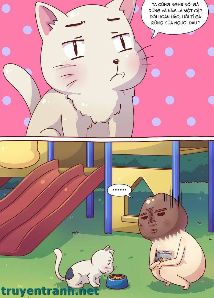 cây nấm kì khả chapter 12 14