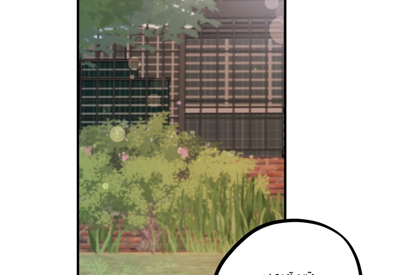 đàn thỏ của habibi chapter 29 209