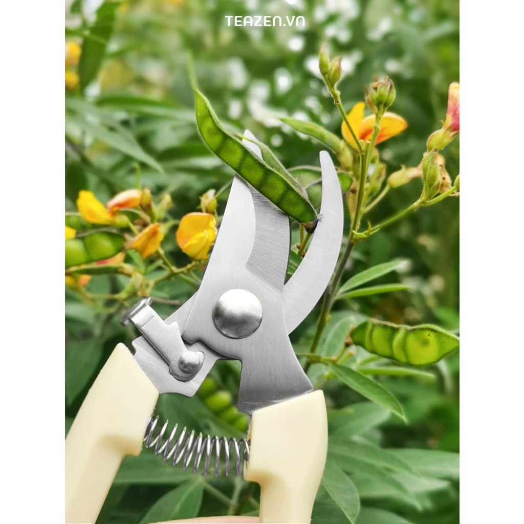 Kéo cắt cành lưỡi thép không rỉ siêu sắc bén tay cầm lò xo cộng lực chắc chắn có chốt an toàn - miếng lót chuột
