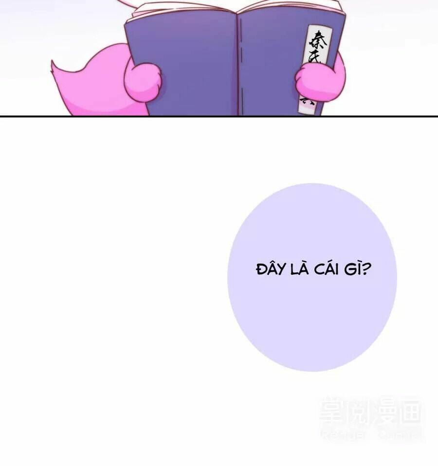 vương phi, vương gia nhà ngươi không ngốc nữa rồi chapter 7 12