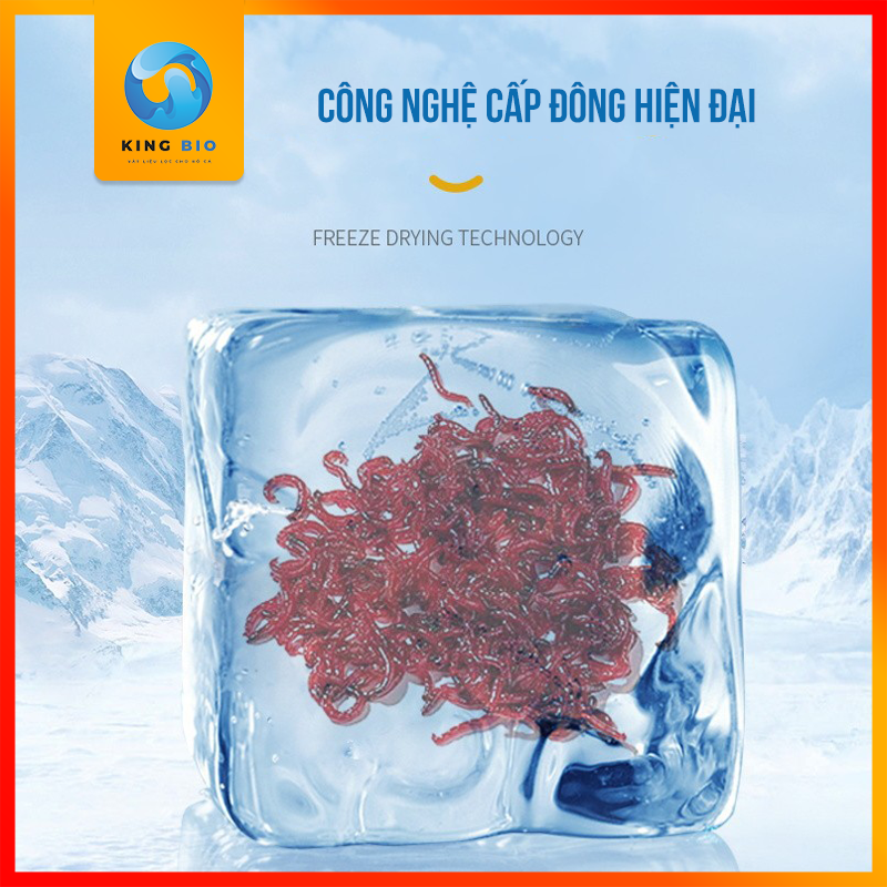 Yee Blood Worm trùng huyết sấy khô thức ăn dinh dưỡng cho cá cảnh