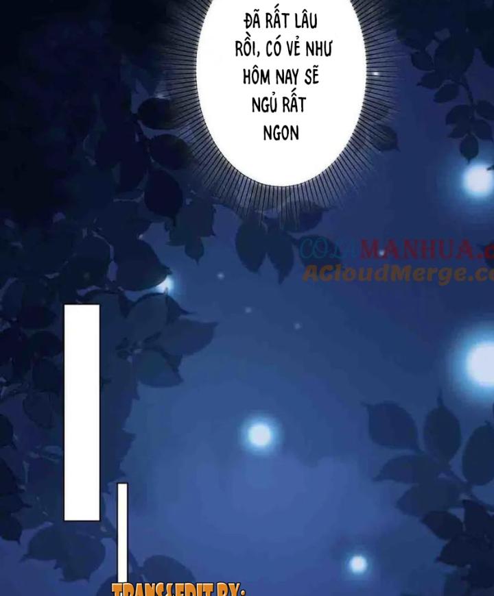 sau đêm ly hôn chapter 12 12