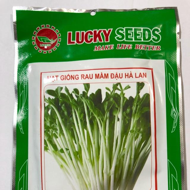 HẠT GIỐNG RAU MẦM ĐẬU HÀ LAN