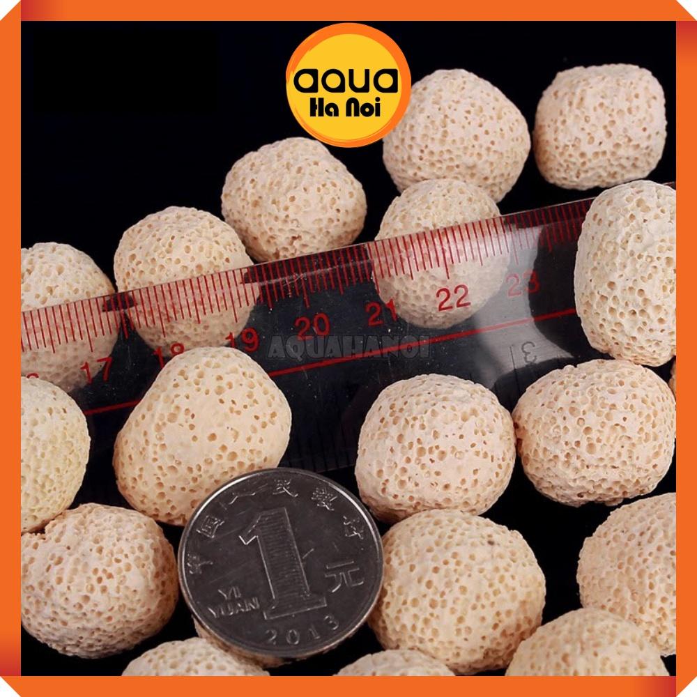 Sứ bi vàng - Vật liệu lọc làm trong nước hồ cá Koi, cá rồng, thủy sinh - 100g/500g