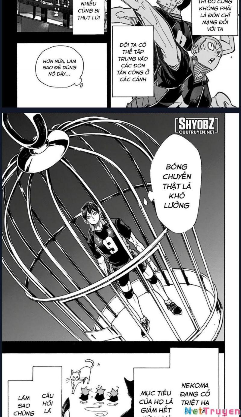 vua bóng chuyền chapter 314 3