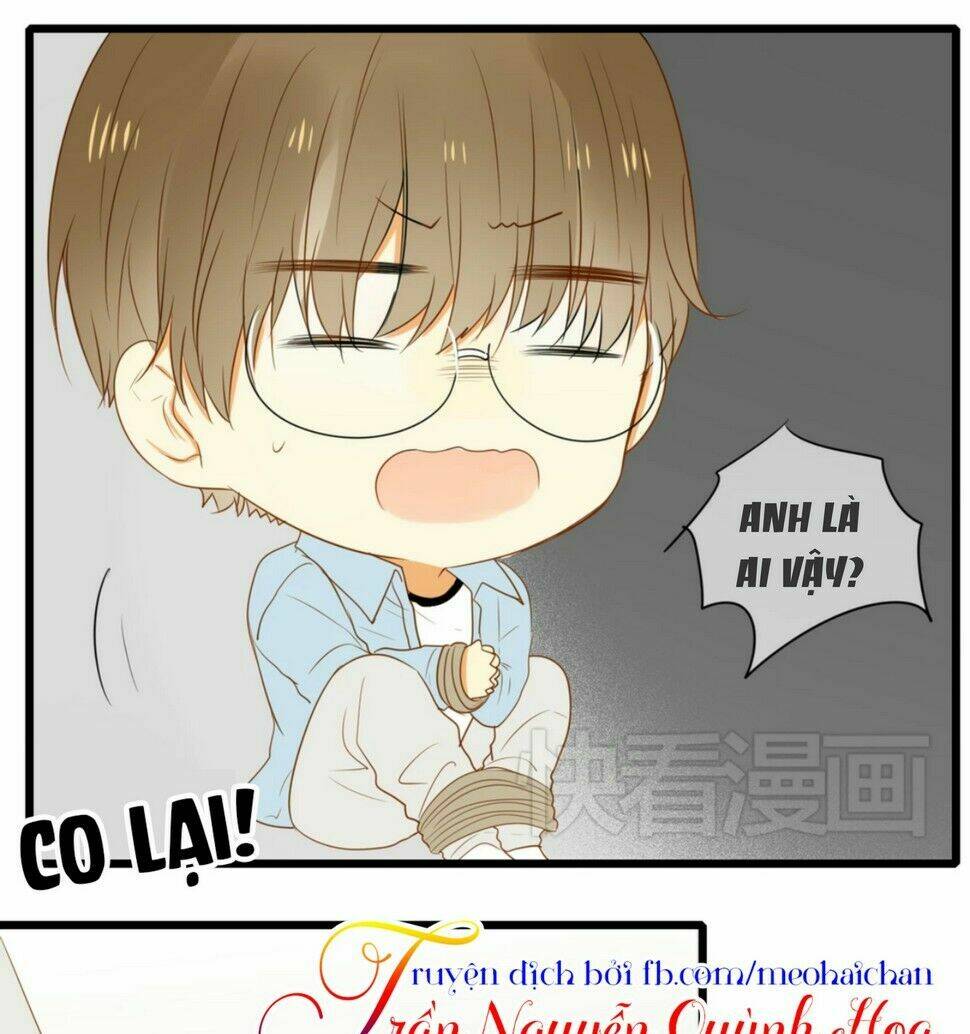 điều giáo quan hệ chapter 11 4