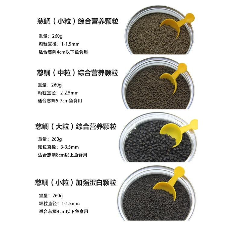 Thức ăn cá ali PET CHICHLIDS FOOD - cám cá ali cao cấp- shopleo