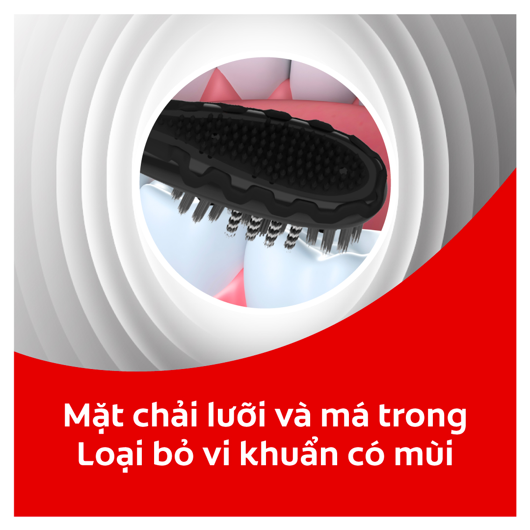 Bộ 2 Đầu thay bàn chải điện Colgate Sonic 360 Charcoal