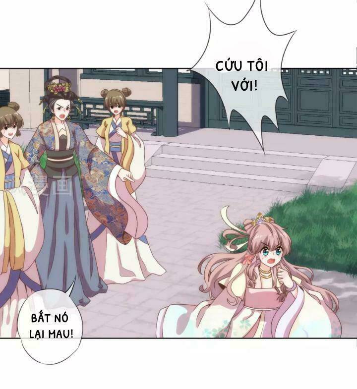 ồ, phu quân đáng yêu của tôi! chapter 4 6