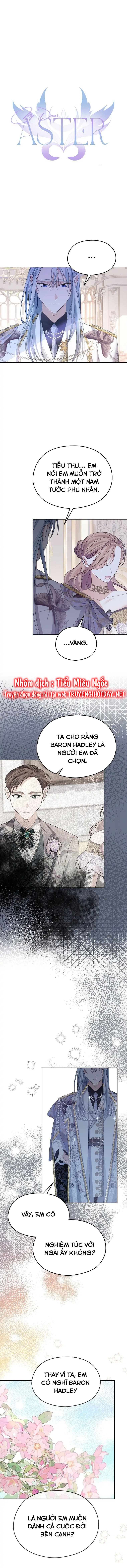 aster yêu dấu của tôi chapter 39 7