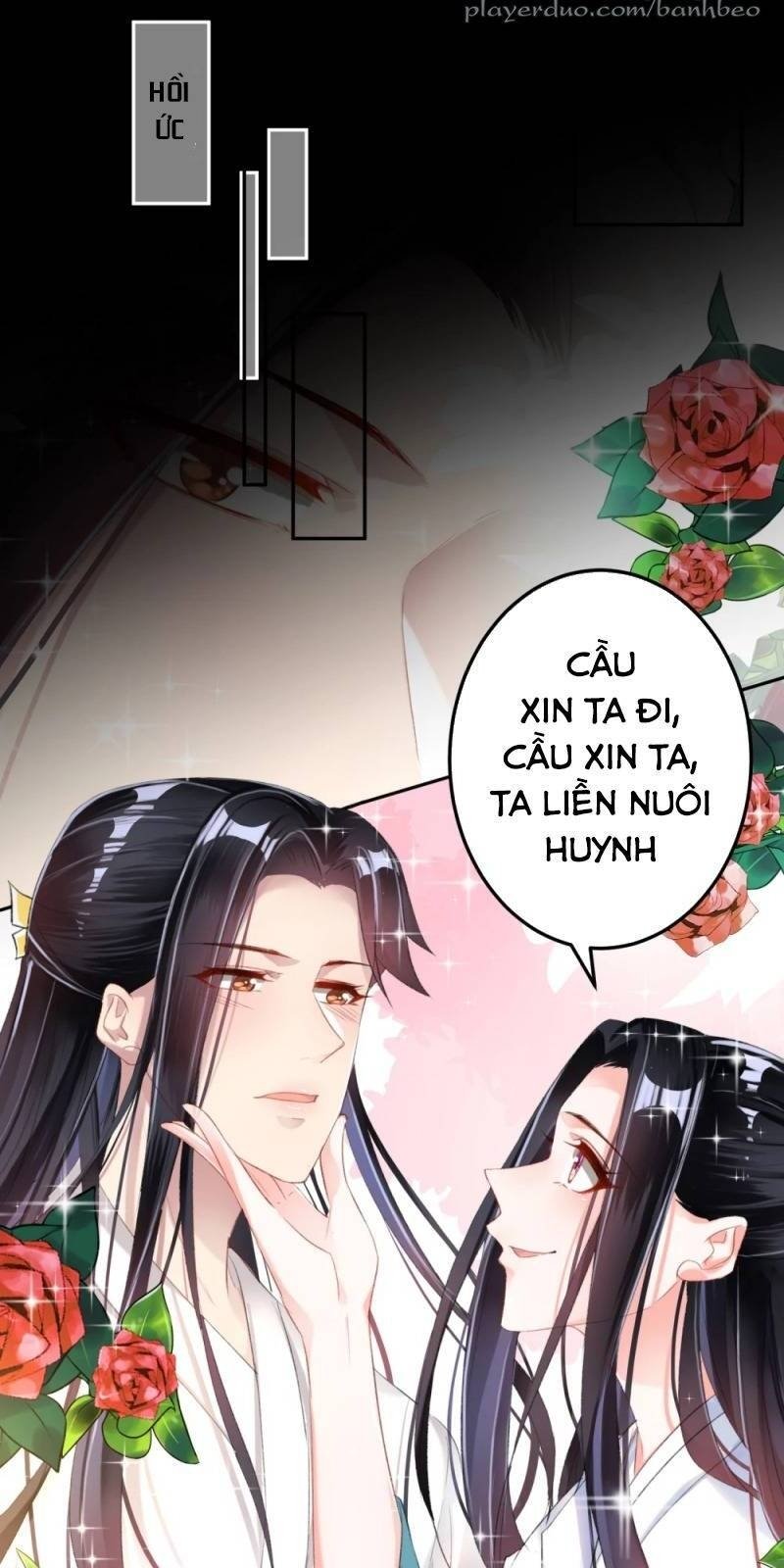 vương gia, áo lót của ngươi rơi mất rồi chapter 12 14