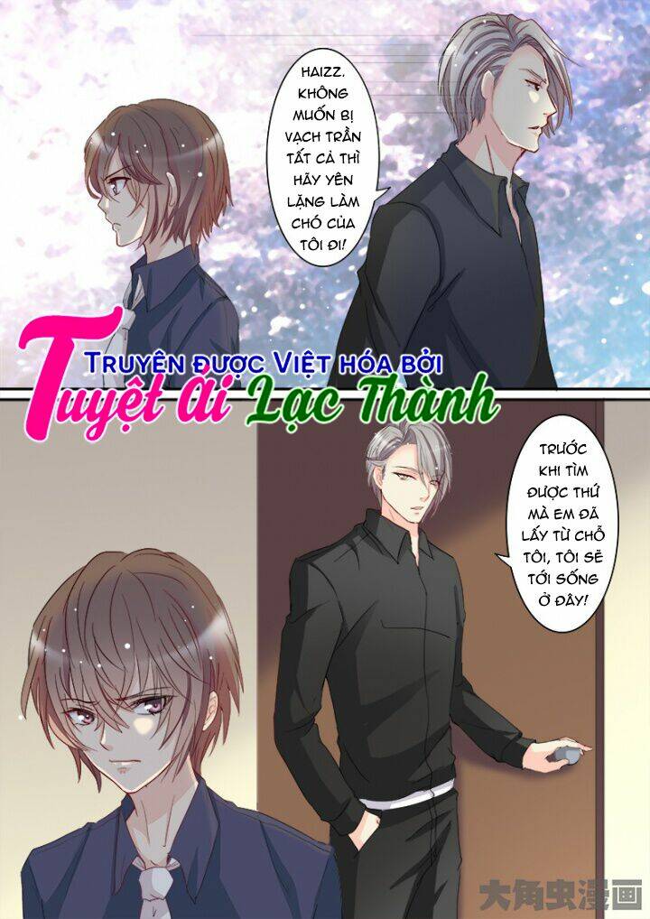 the stars are not luminous body chapter 101 6