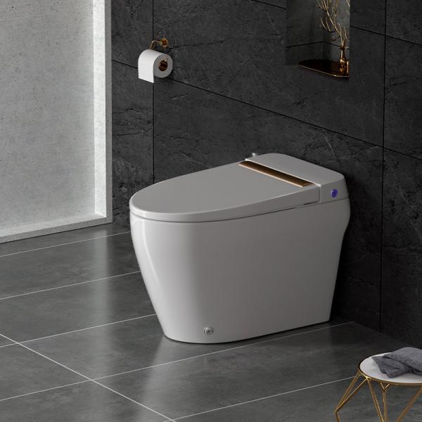 Bồn cầu bán điện tử ECOD EBE159 trang bị thêm nắp rửa cơ