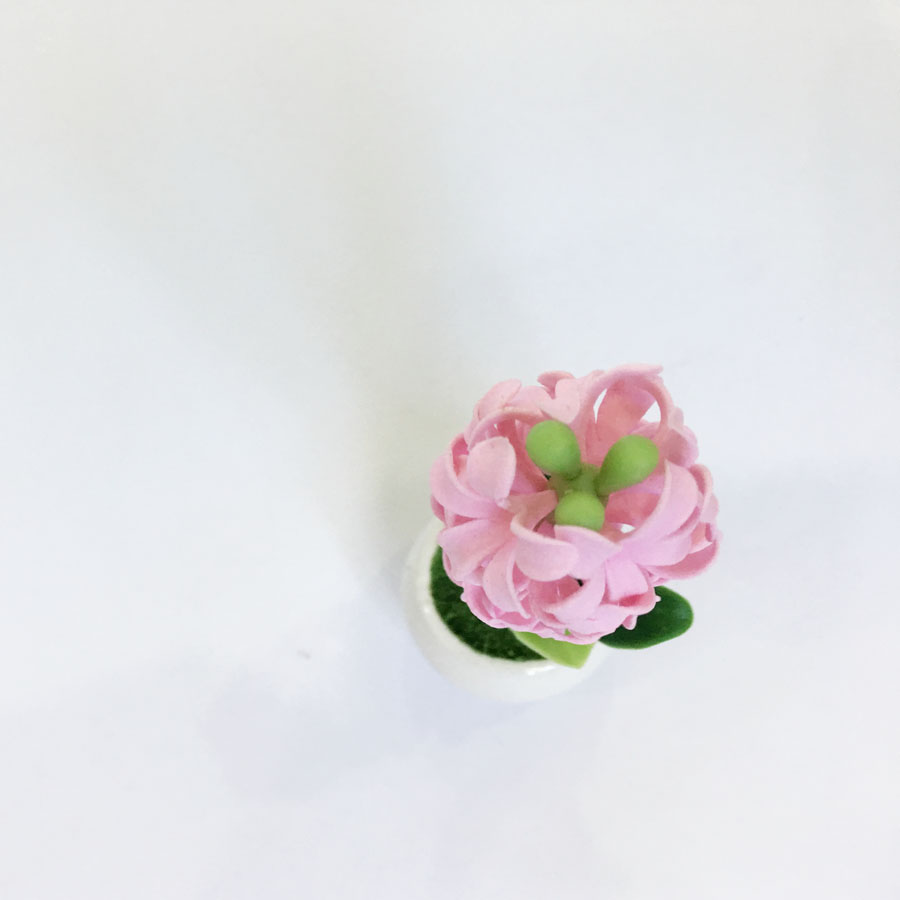 Chậu hoa đất sét mini - Cây dạ lan hương