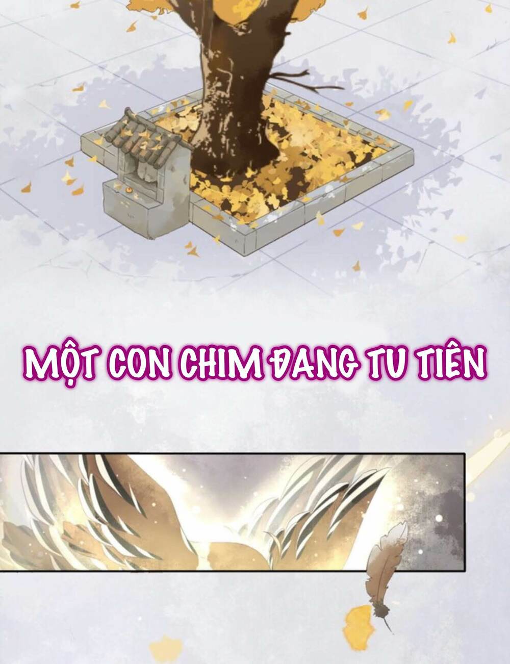 tiêu lăng chapter 0 5