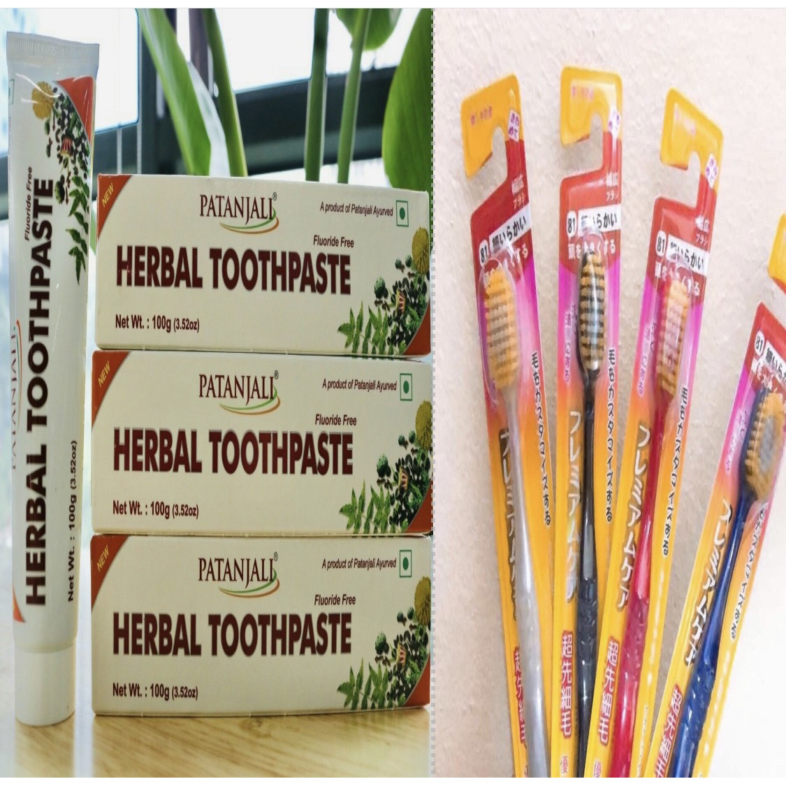 COMBO:Mua Kem đánh răng dược liệu Ấn Độ Patanjali Herbal Toothpaste tặng bàn chải kháng khuẩn Nhật