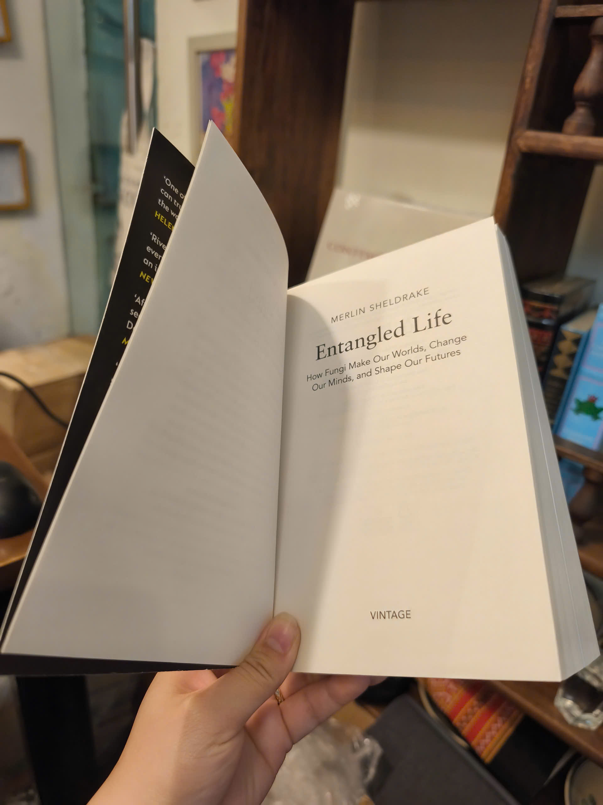 Sách - Entangled Life How Fungi Make Our Worlds, Change Our Minds &amp; Shape Our Futures - English Book