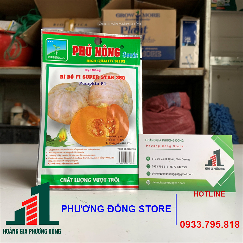 Combo 5-10 gói hạt giống Bí đỏ F1 Super Star 350 dễ trồng, kháng bệnh tốt