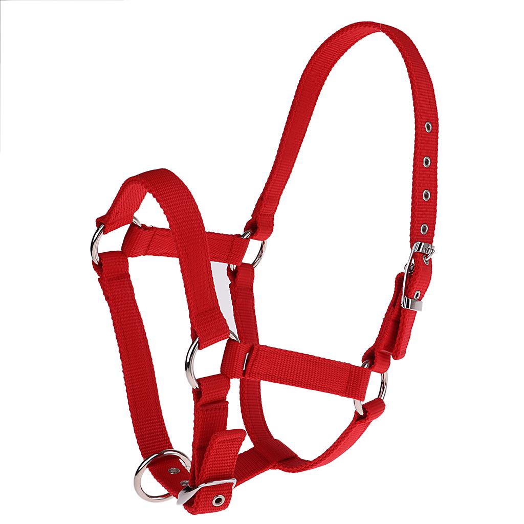 Adjustable Nylon Webbing Equestrian Western Horse Halter Horse Riding Wear Red S