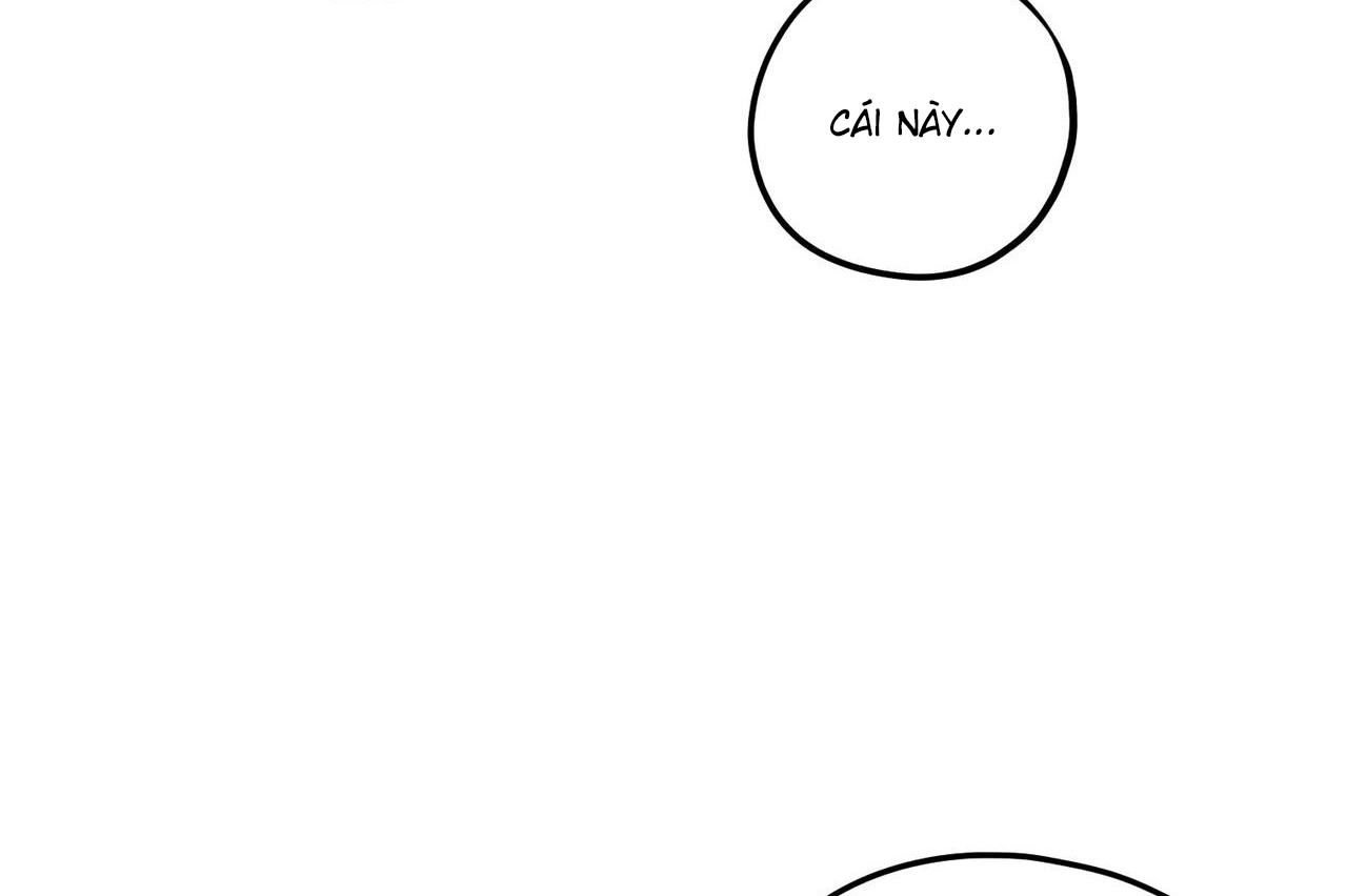 chàng dâu nhà họ kang chapter 32 154