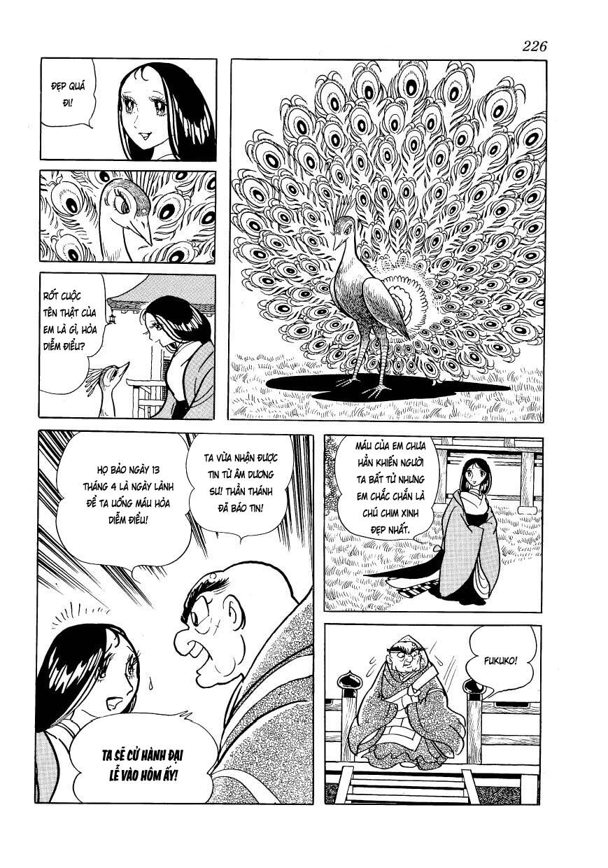 chim lửa chapter 85 24