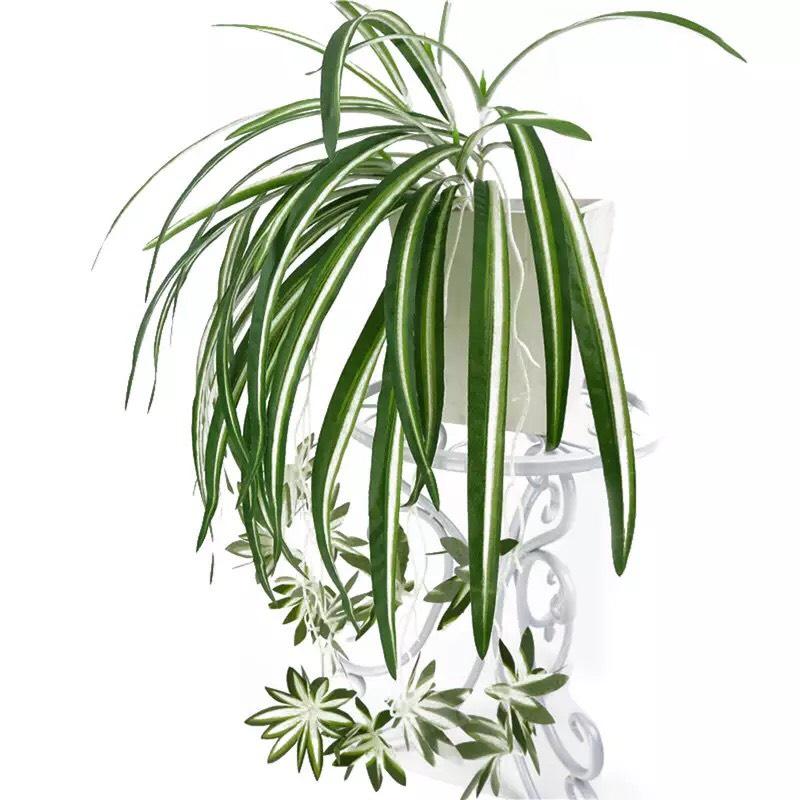 Cây Giả - Chùm Cỏ Lan Chi Tuyệt Đẹp Dài 60cm Trang Trí Bình Hoa, Ban Công, Sân Vườn JK_004