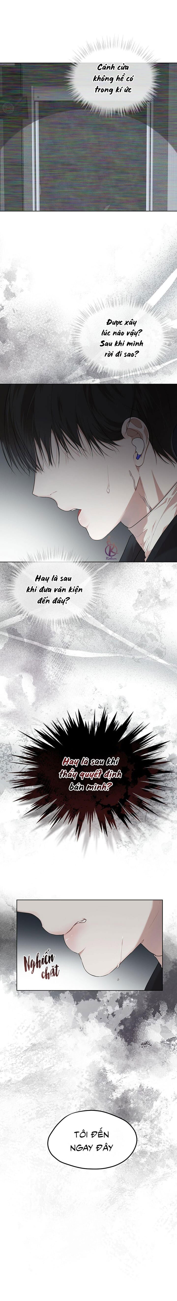 hình thái khởi sinh chapter 55 4