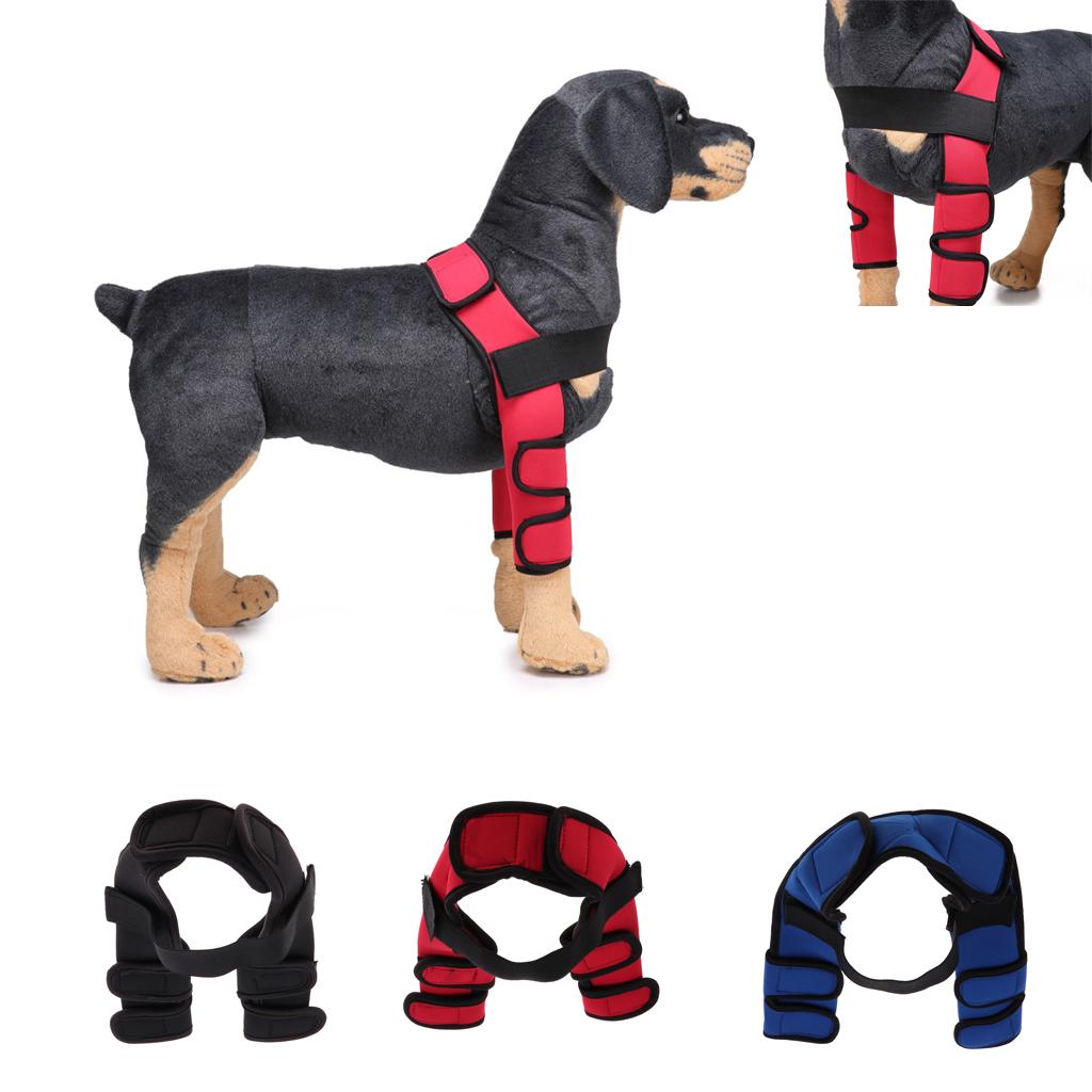 Dog Leg Brace Knee Leg Joint Protector Support Prevents Injuries and Sprains