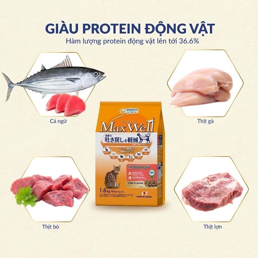 Thức ăn hạt cho mèo trong nhà MaxWell - Vị cá 1.6kg