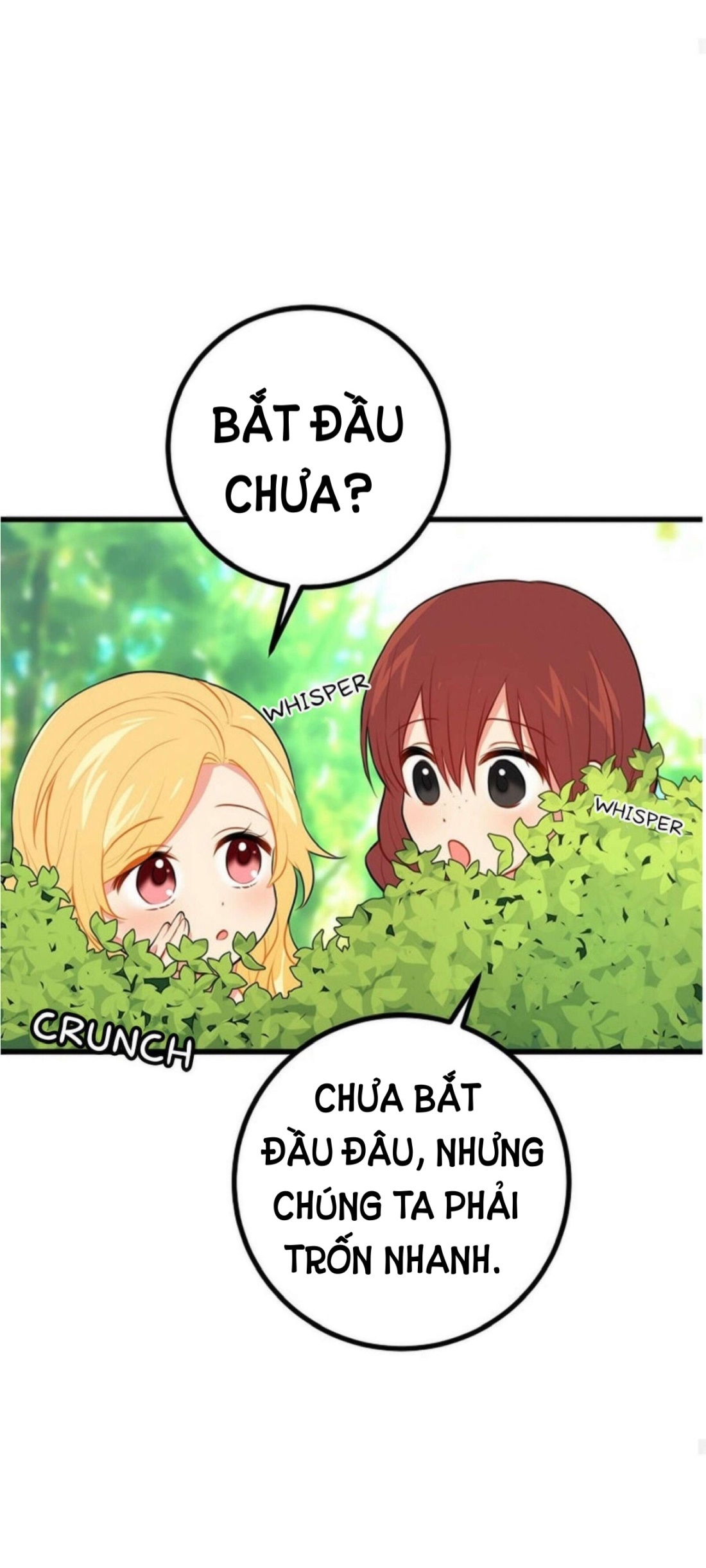 tôi là tiểu thư của gia đình này chapter 19 13