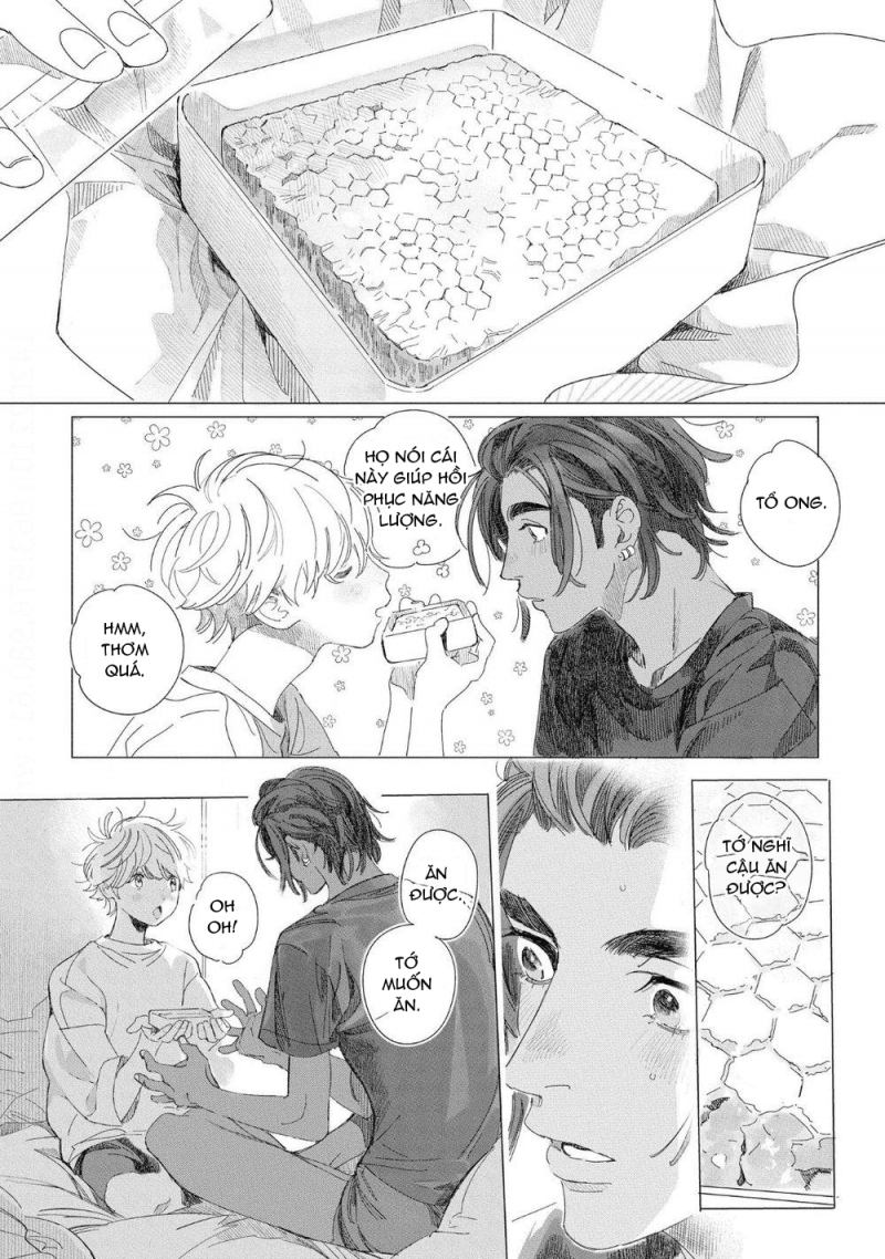 đất nước của những chú sư tử chapter 4 26