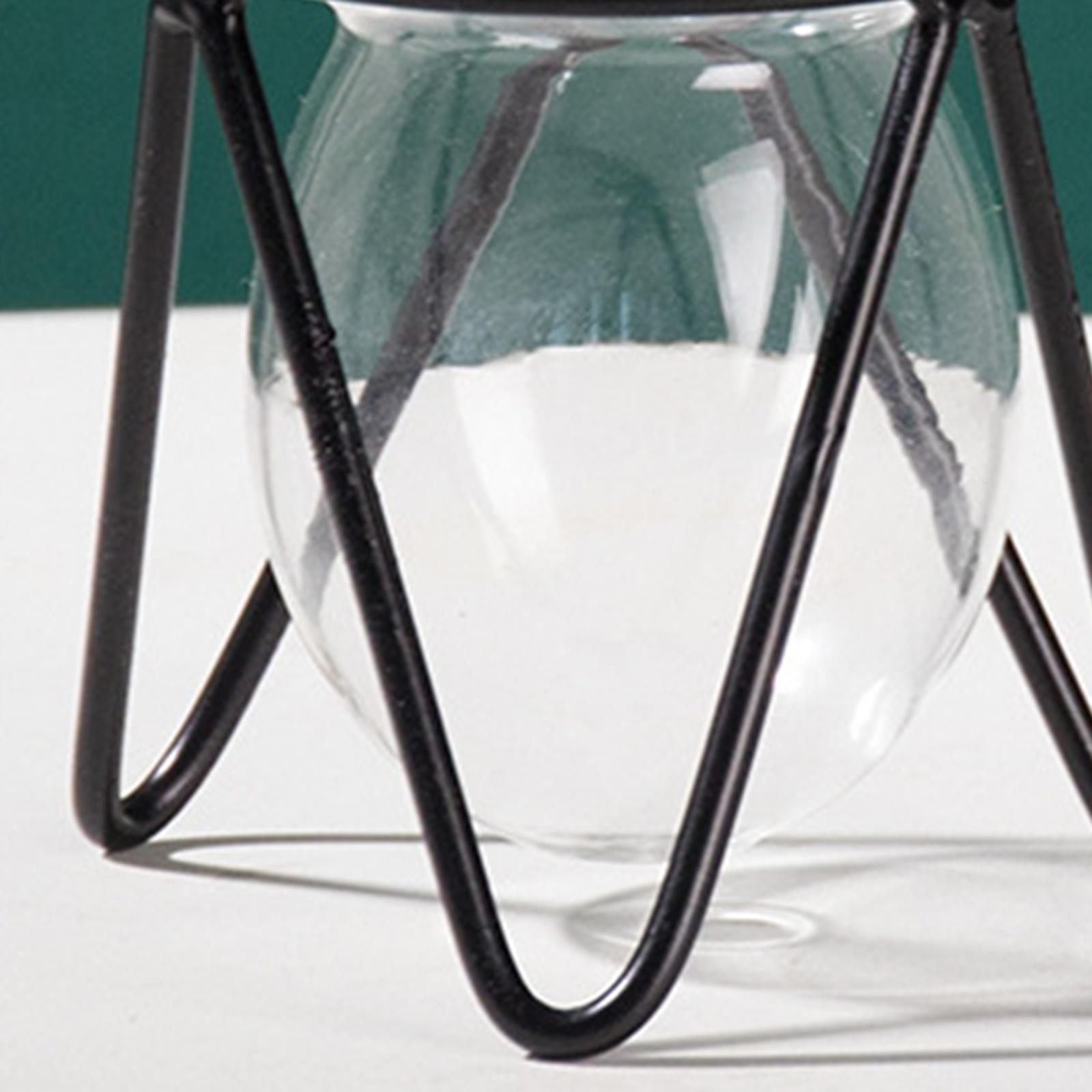 Plant Iron Line Flower Vase  Ornament Home Art Desktop