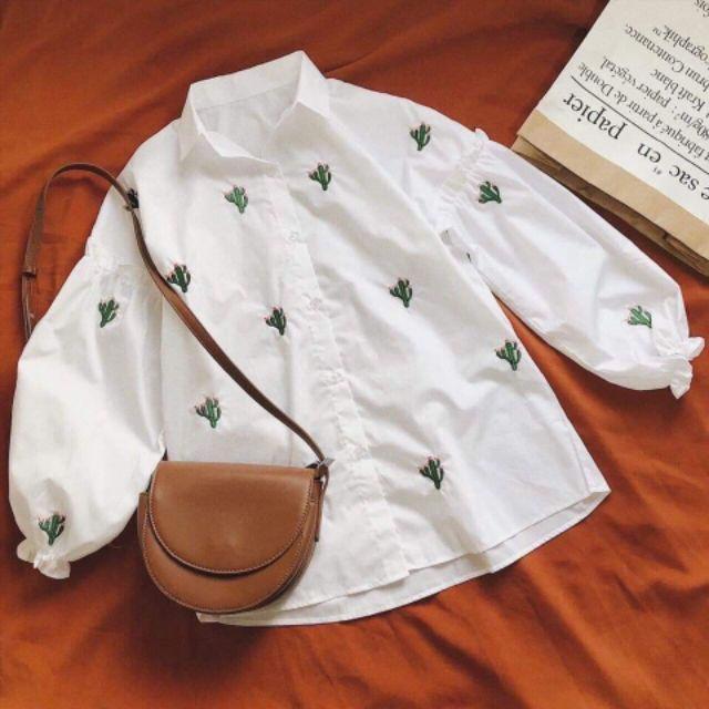 Hình thậtÁo sơmi sương rồng