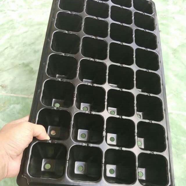 Combo 3 khay ươm hạt giống 32, 50,70, 105, 128, 200 lỗ chọn kích thước