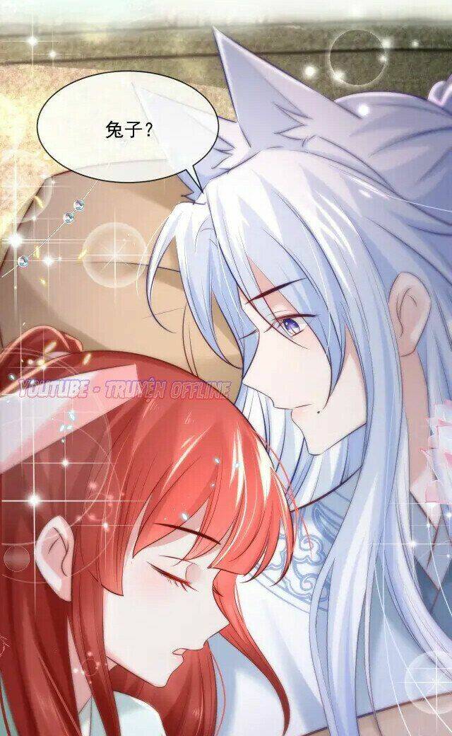 hắc hóa nam chính trực tuyến nuôi thỏ chapter 27 40