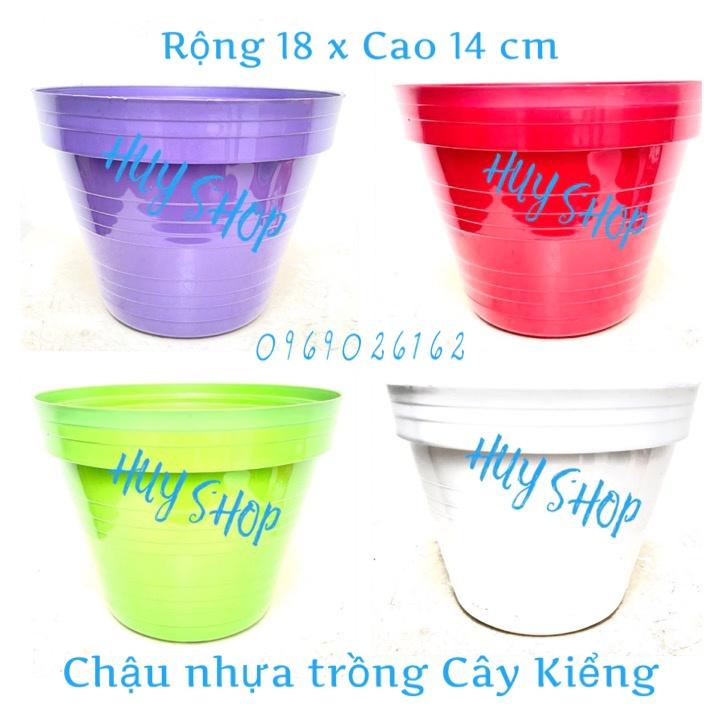 COMBO 5 CÁI CHẬU NHỰA TREO TRỒNG HOA CÓ MÓC KẼM