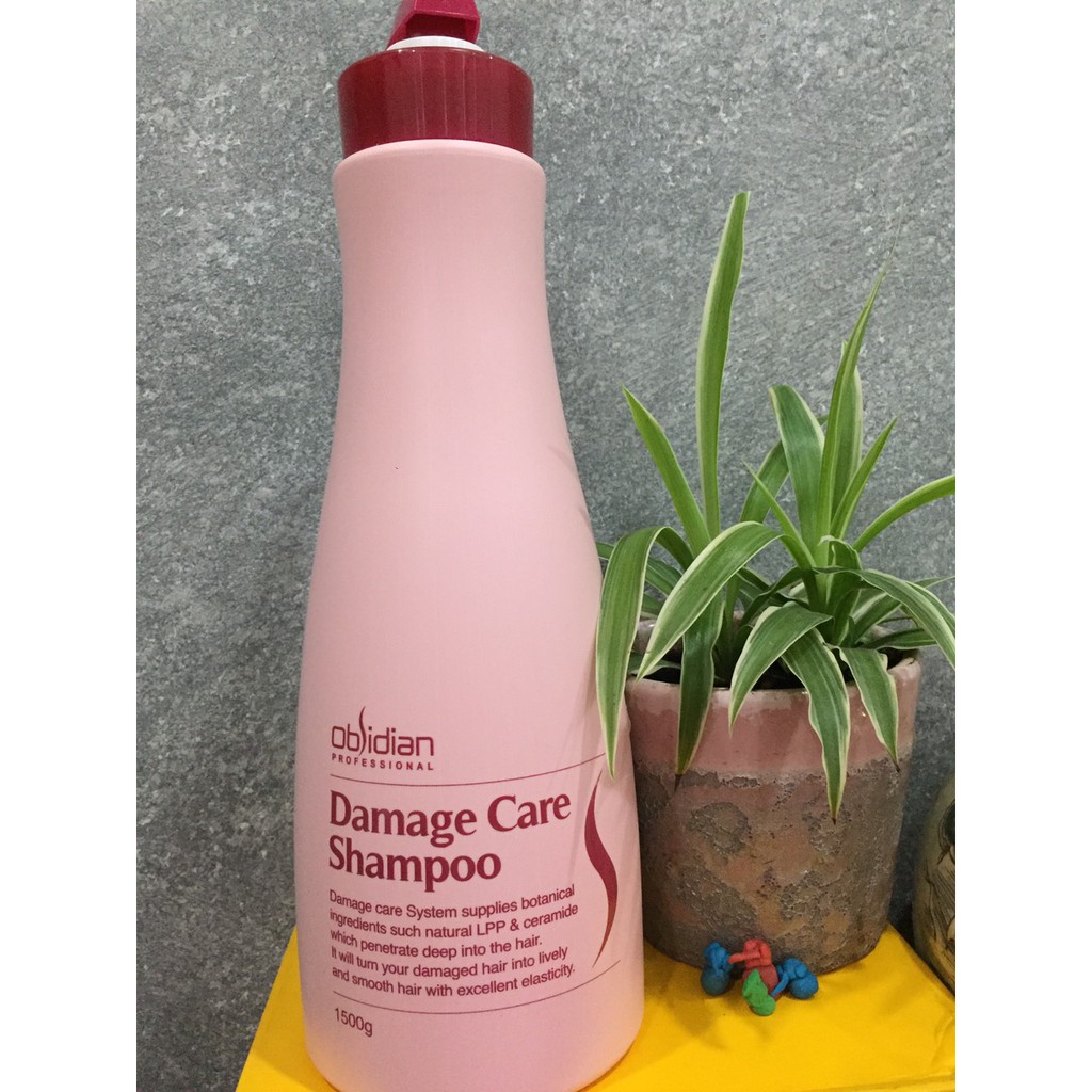 Dầu gội tái tạo tóc Obsidian Damage Care Shampoo 1500ml