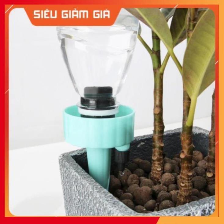 Set 12 que cắm tưới cây nhỏ giọt  206801