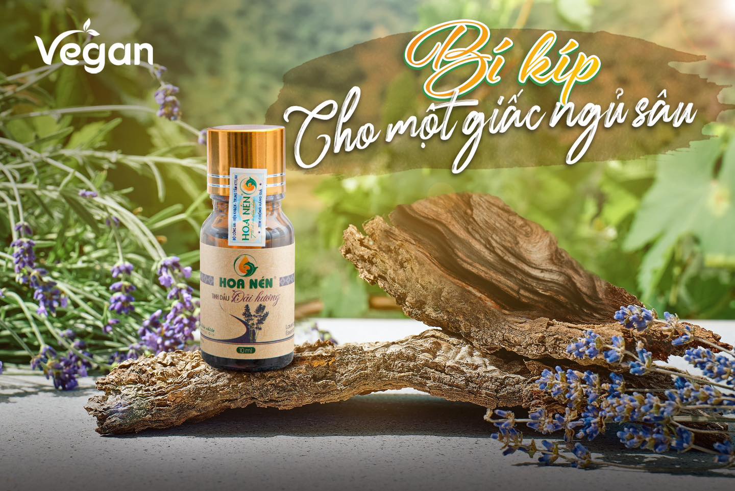 Tinh dầu hoa Oải Hương nguyên chất Hoa Nén 3ml - 50ml - Làm thơm phòng, đuổi muỗi, ngủ ngon