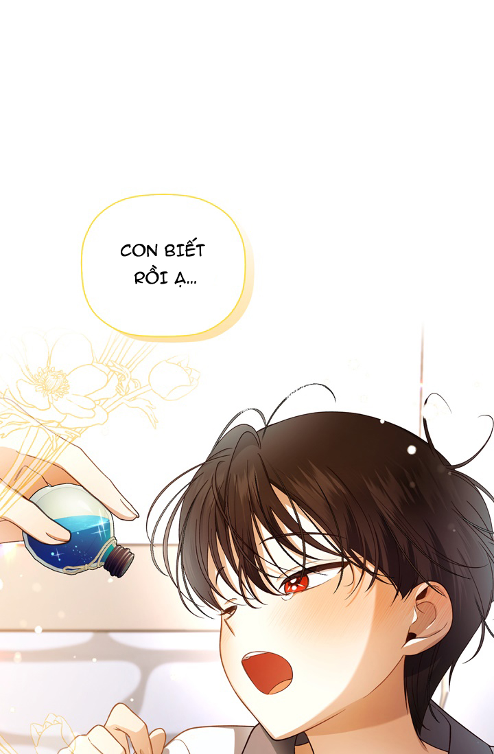 cách che giấu đứa con của hoàng đế chapter 24 13