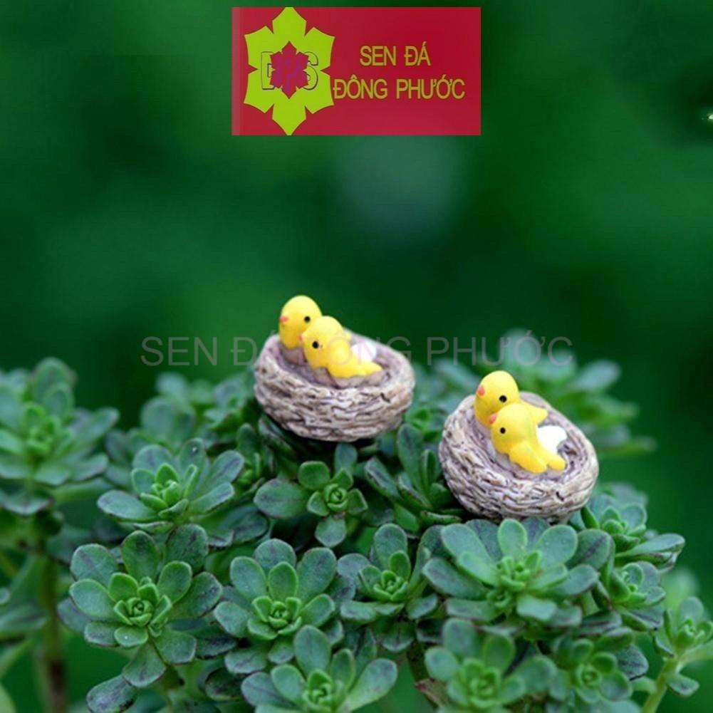 Tổ chim vàng anh mini - Phụ kiện tiểu cảnh trồng sen đá, xương rồng, cây phong thuỷ