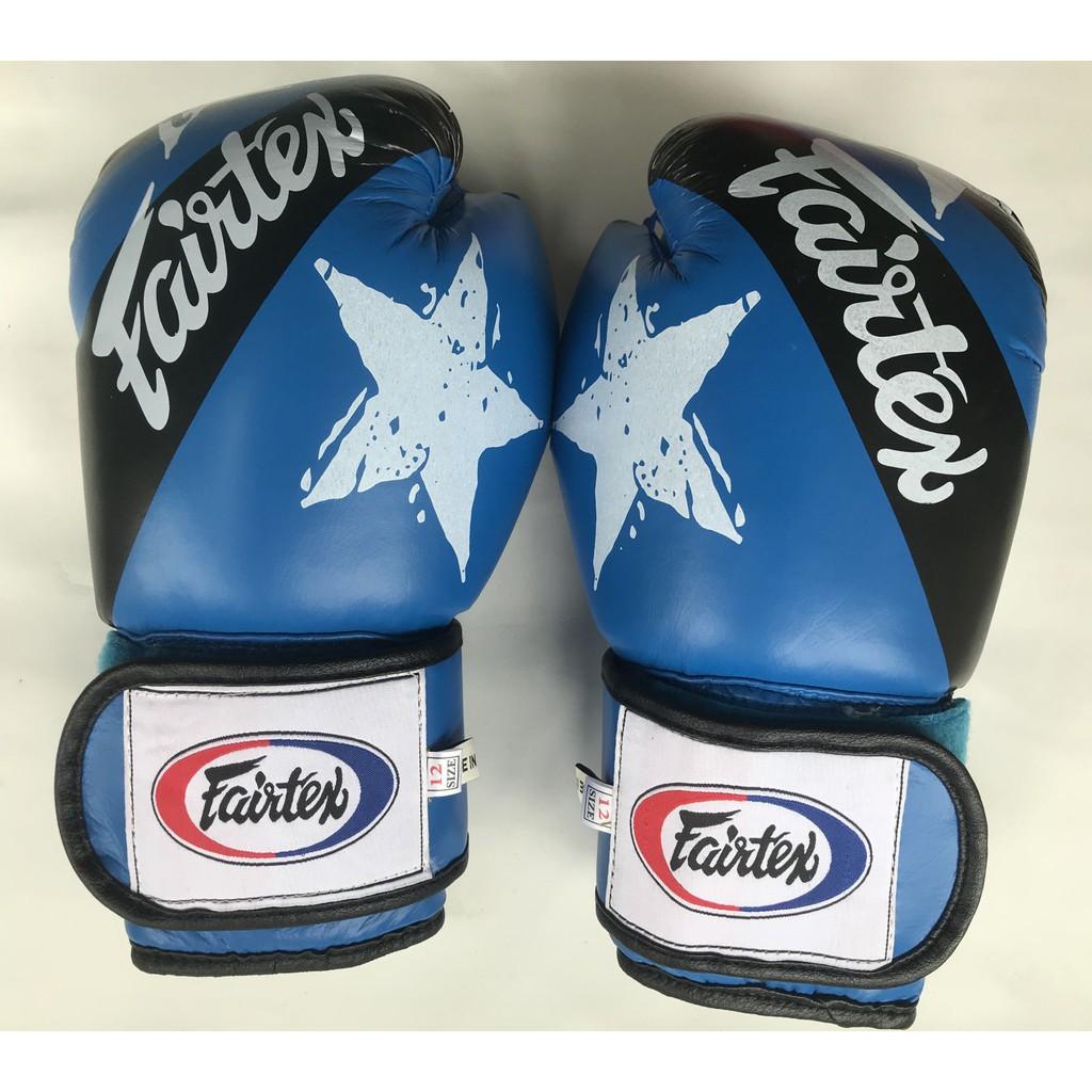 găng dấm bao cát, boxing hãng fairtex 10 oz giá sĩ